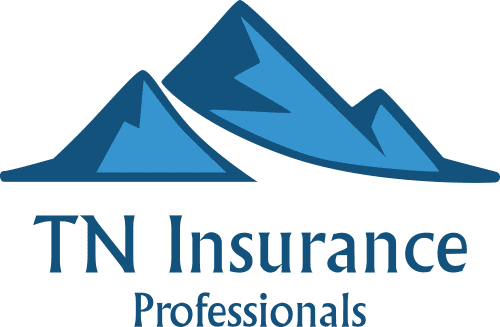 TN Insurance Professionals