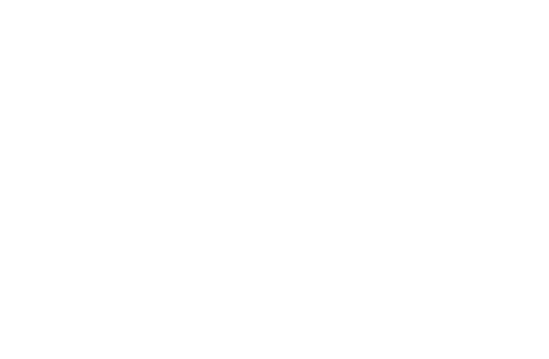 TN Insurance Professionals - Logo 800 White